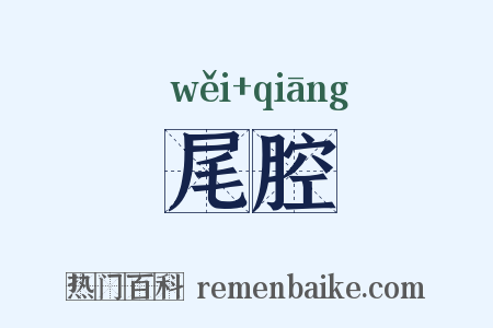 尾腔是什么意思的图片